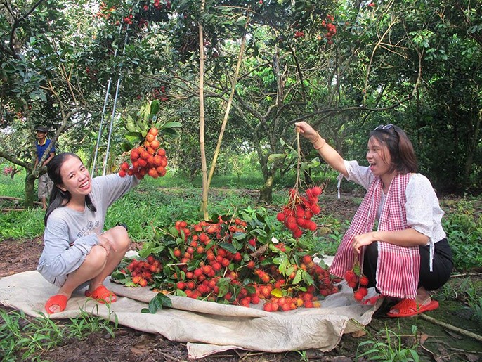 Trải nghiệm một ngày đi vườn trái cây Bảo Thạch Bến Tre